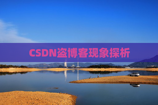 CSDN盗博客现象探析 CSDN盗博客现象探析